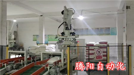 碼垛機器人面粉雙線自動碼垛