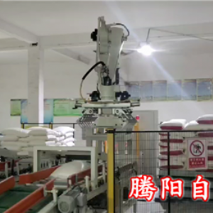 碼垛機器人面粉雙線自動碼垛