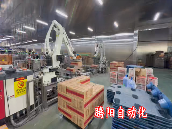 箱裝食品碼垛機(jī)器人