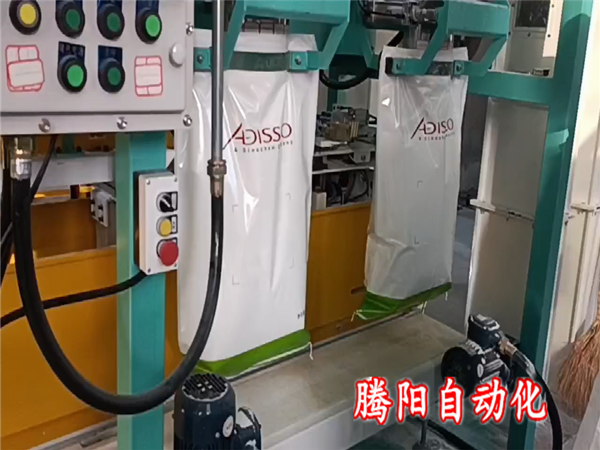 雙工位包裝碼垛機生產(chǎn)線